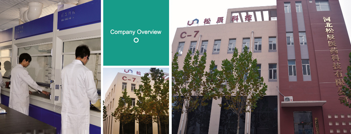 Hebei Summedchem Co., Ltd.